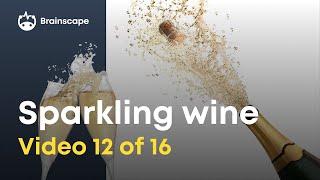 Wine 101: 10 Things every wine lover should know about sparkling wine!