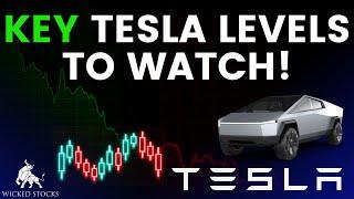 Tesla Stock Price Analysis | Top Levels To Watch for Monday, August 12th 2024