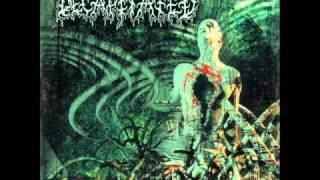 Decapitated - Spheres of Madness