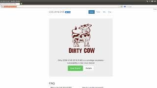 How To Exploit DirtyCow (and stop it from crashing)