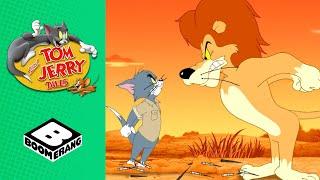 Tom & Jerry Go to Africa | Tom and Jerry Tales | Boomerang UK