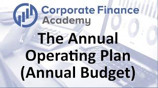 Annual Operating Plan Process - The Annual Budget