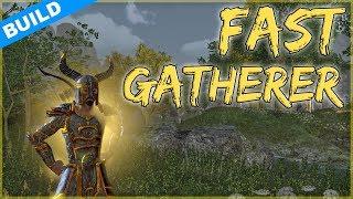 FAST Gatherer/Farming Build for Elder Scrolls Online (ESO Guide)