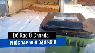 Tất tần tật cách đổ rác và phân loại rác tại Canada | Cuộc sống Canada