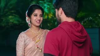 Kalyanam Kamaneeyam - కళ్యాణం కమనీయం - Telugu Serial - EP - 244 - Meghana Lokesh - Zee Telugu