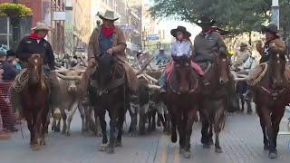 WATCH: Western Heritage Parade and Cattle Drive in downtown San Antonio