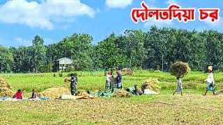 পদ্মার চর দৌলতদিয়া || Panorama Documentary