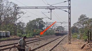 Train hits cow  | 22893 Sainagar Shirdi - Howrah SF Express