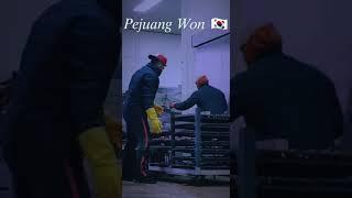 Pejuang Won Korea 