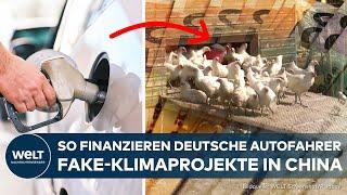 ABZOCKE IN MILLIARDENHÖHE: Deutsche Autofahrer finanzieren Fake-Klimaprojekte im Ausland