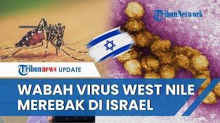 Israel Dilanda Wabah Virus Mematikan di Tengah Perang: Puluhan Orang Dirawat di RS, 3 Meninggal