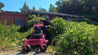 I CUT the MOST OVERGROWN LAWN in THE U.S.A. and THIS HAPPENED (LAWN CARE TOUR)