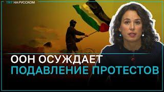 В ООН обеспокоены подавлением протестов против войны в Газе в университетах США