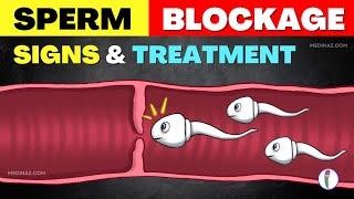 Sperm Blockage - Causes, Symptoms, and Effective Treatments | Male Infertility Treatment | Low Sperm