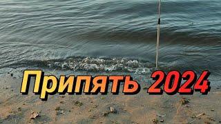 Припять 2024. Рыбалка и отдых  на Припяти.