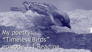 My Poetry ep 1.1 Poem: "Timeless Birds"