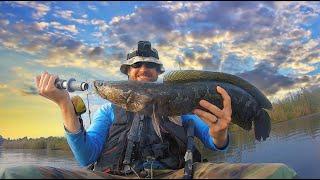 Tide and Snakehead Fishing: How the Tide Affects the BITE