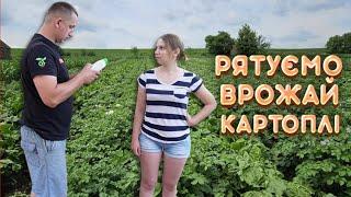 НА НАС НАПАЛИ Відбиваємось від  шкідників. Останнє підгортання картоплі!