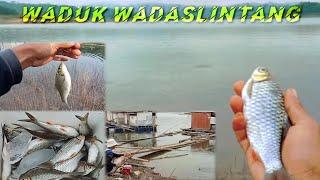 Spot mancing waduk Wadaslintang memang mantap ikan nya babon-babon semua