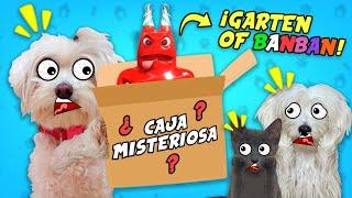 ABRIMOS LA CAJA MISTERIOSA PERO GIGANTE DE GARTEN OF BANBAN !!