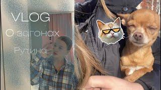 Мои будни || vlog