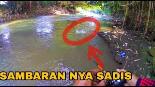 Hampala Fishing Week Sungai Aare nya Jawa Barat