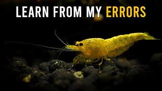 6 Common Shrimp Keeping Mistakes You Can AVOID!