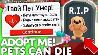 Твой ПЕТ УМЕР!️ЧТОО? Новое ОБНОВЛЕНИЕ! Питомцы МОГУТ УМИРАТЬ В Адопт Ми | ROBLOX ADOPT ME!