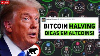 Bitcoin Hoje: Halving e Minhas Dicas de Criptomoedas para 2024!