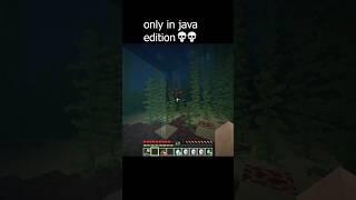 Only in Java edition  #minecraft #minecraftmemes #gaming #memes #minecraftpe #minecraftshorts #fyp