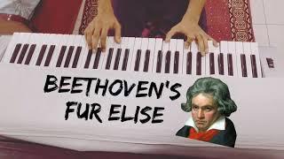 Beethoven - Für Elise | Shrey Patel