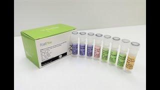 PreciGenome COVID-19 PCR Kit (RNA Extraction Free, UK & South Africa Variants Identification)