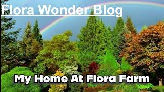 Flora Wonder Blog | My Home At Flora Farm