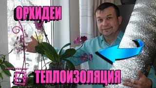 УТЕПЛЕНИЕ ОРХИДЕЙ ЗИМОЙ. ОРХИДЕИ В ДОМАШНИХ УСЛОВИЯХ. ЭКЗОТИКА НА ПОДОКОННИКЕ