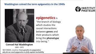 Conrad Hal Waddington's Concept of Epigenetics: The Origin and the Metaphor of the Landscape