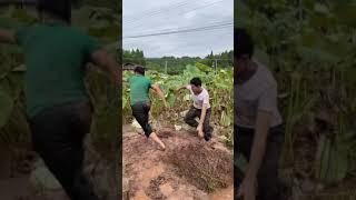 Kwai Funny tiktok : Funny Videos 2020, Chinese Funny Video - Most View Chinese Funny Video