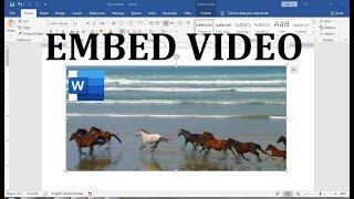 insert video into word