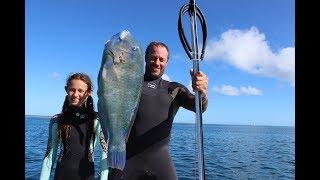 SPEARFISHING and first SHARK encounter Episode 39 (Sailing Catalpa)