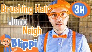 Blippi Learns At A Castle | BLIPPI |  Bedtime, Wind Down, and Sleep with Moonbug Kids