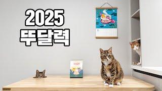 뚜리뚜바랑 2025 달력이 나왔습니다!