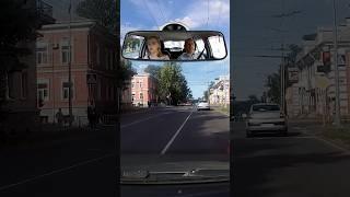 Суета + Невнимательность = Нарушение #автошколапетрозаводск #петрозаводск #пдд