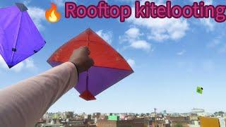 Kite Looting on roof kite catching from roof | kite looters...#viralvideo