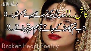 Top 30 Best 2 Line Poetry | Most Heart Touching Poetry | Sad Urdu Poetry | Hindi Shayari | Fk Poetry