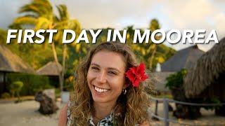 WE MADE IT TO MOOREA | French Polynesia Honeymoon Day 1