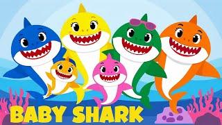 Sing Baby Shark with Friends  Best Kids Rhymes