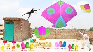 Kite Flying & Kite Catch With 79 ColourFul Chick