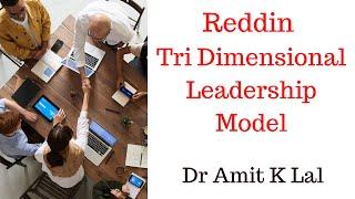 Reddin Tri Dimensional Leadership Theory