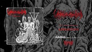 Labium Minora - Affliction (Promo 2015) | Necrology Records