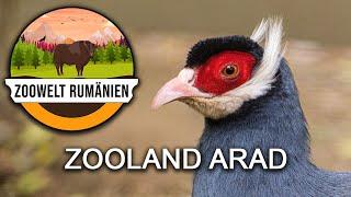 ZooLand Arad - Die Oase - Zoowelt Rumänien