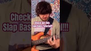 Victor Wooten Inspired Basslines! Check this out!  #slapbass #victorwooten #bassguitar #funkybass